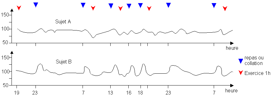 graphique evolution de la glycmie